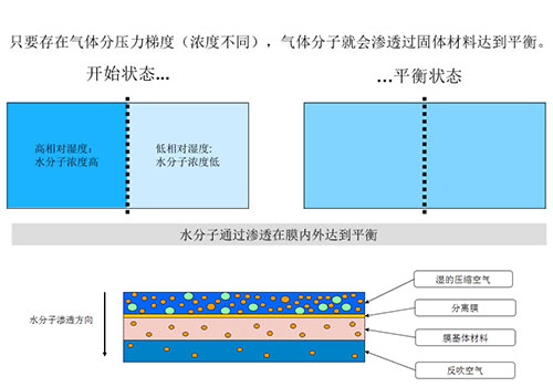 高分子膜式干燥器工作原理