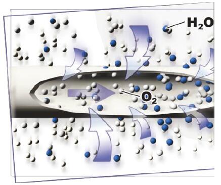 水分子和氧分子在SR醫療制氧機用氧氣加濕器的中空纖維膜絲流向